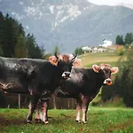 Nagelehof Bendelstein