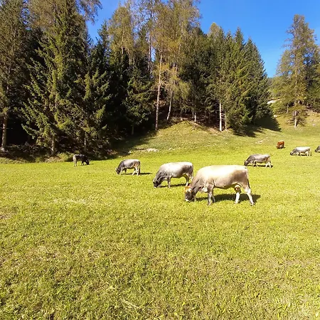 Nagelehof Bendelstein Appartement