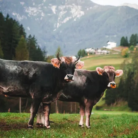 Nagelehof Bendelstein