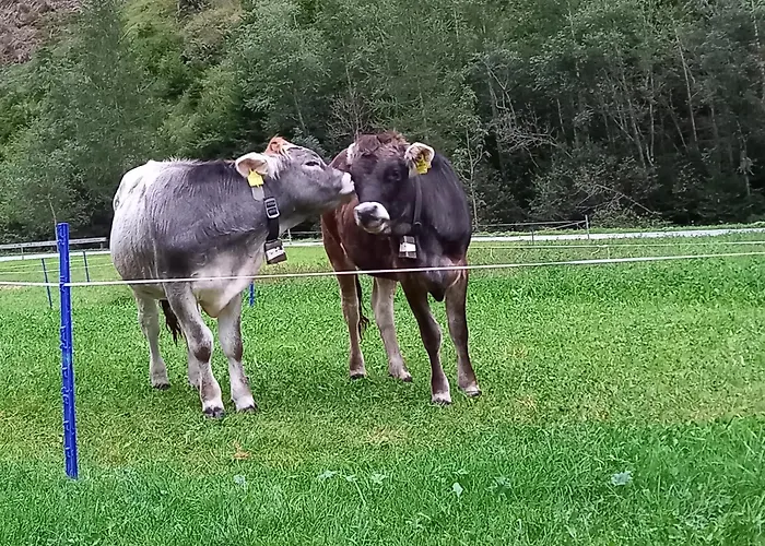 Nagelehof Bendelstein * Navis