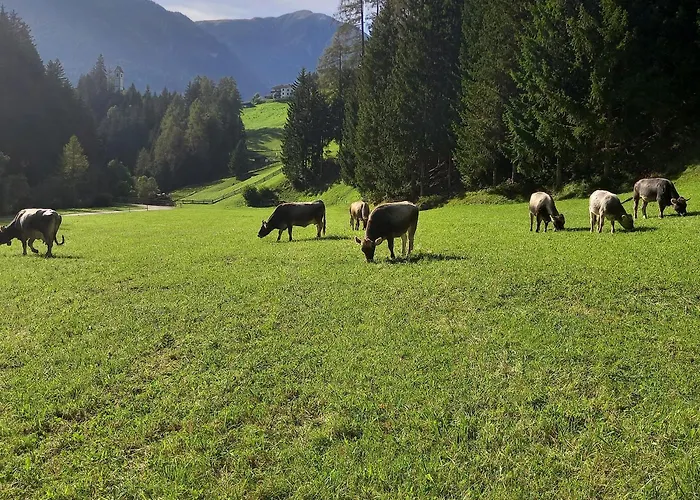 아파트 Nagelehof Bendelstein *