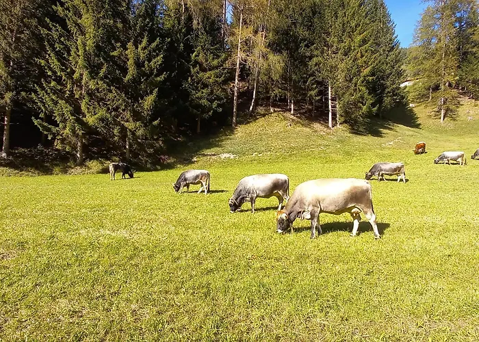 Nagelehof Bendelstein 아파트