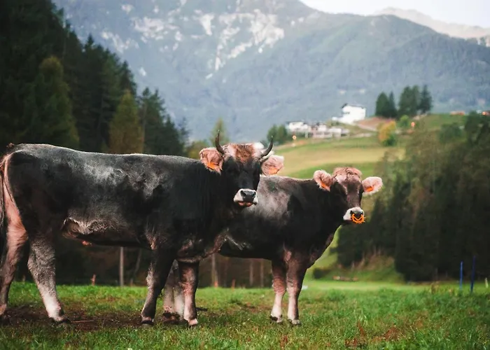 Nagelehof Bendelstein