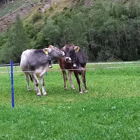 Nagelehof Bendelstein * Navis