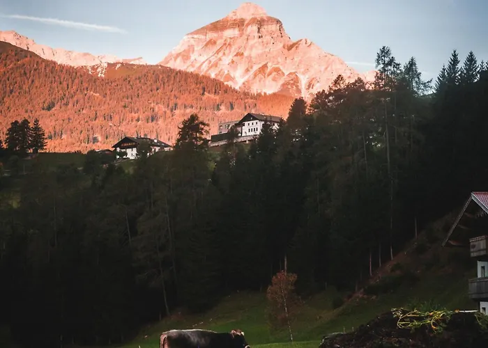 公寓 Nagelehof Bendelstein Navis